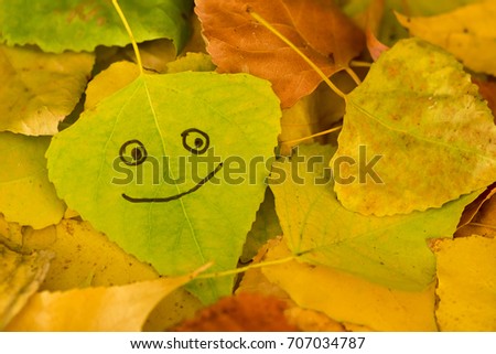 Green leaf with a picture of happy face on the background of yellow fallen autumn foliage