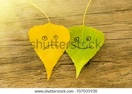 Green and  yellow  leaves with a picture of happy and sad faces on the old wooden background with cracks, sunny