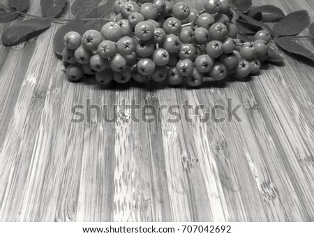 Still life on a wooden kitchen table with raceme of rowan berries.