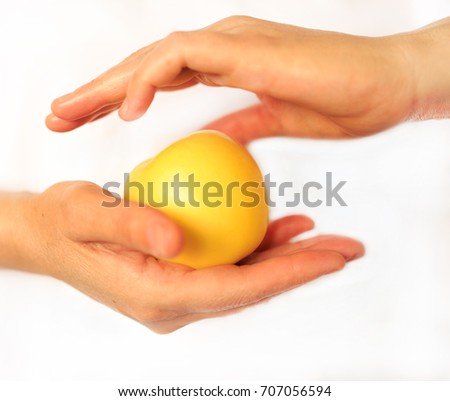 female hand holding an Apple on an isolated white background