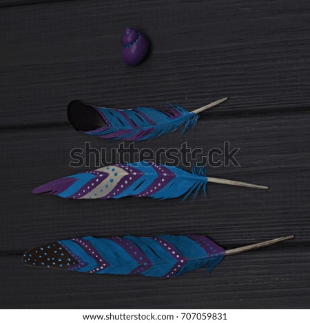 Magic hand painted feathers and shell set on gray wooden background. New Year, Christmas tree concept