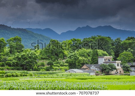 The countryside and mountains scenery in summer 