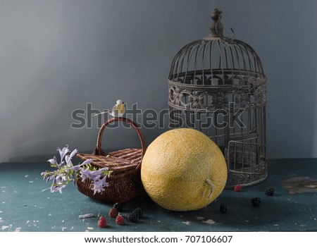 still life with sweet, ripe and yellow melon