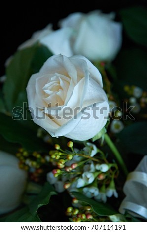 White rose and baby's breath and white ribbon on green background close up