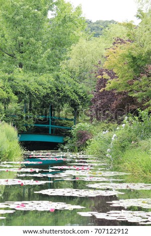 Lotus flower blooming on a lake