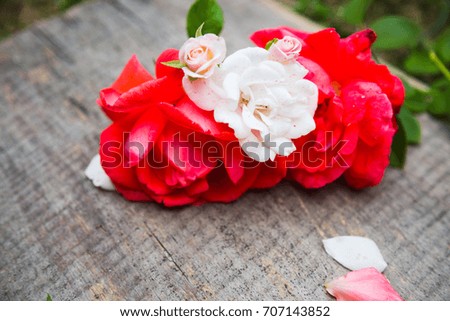 vintage rose flower for use on the gray wooden background