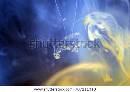 Watercolor paint dissolves in water, backlighting from different directions, large magnification, bokeh, Colored abstractions