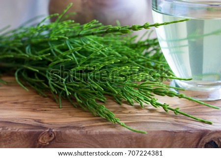 Fresh horsetail on a wooden table, with horsetail tea in the background Royalty-Free Stock Photo #707224381
