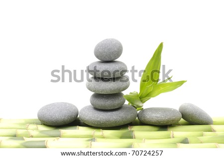 balance gray stone with bamboo grove
