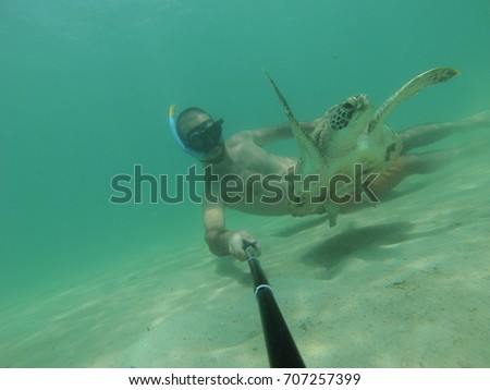 Snorkeler swimming with a sea turtle very closely. these turtles live in tropical seas: Southeast Asia, Australia, Africa and caribbean;  and also in  temperate seas. Photos taken by action camera.