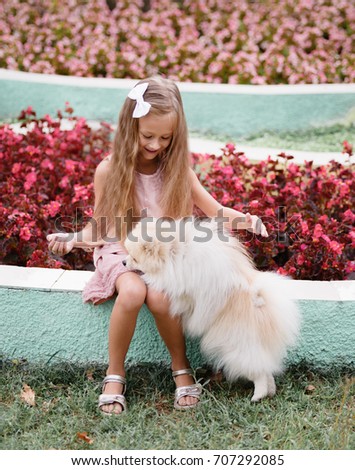 An adorable, beautiful little girl in a light pink dress playing with amazing fluffy dog on a blurred flower park background. A pretty girl with long light brown hair in a light summer dress.