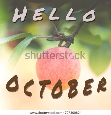 Typographical Quote - Hello October with Instagram Effect