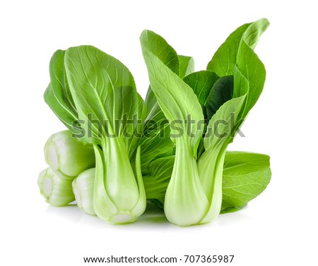 Bok choy vegetable on white background Royalty-Free Stock Photo #707365987