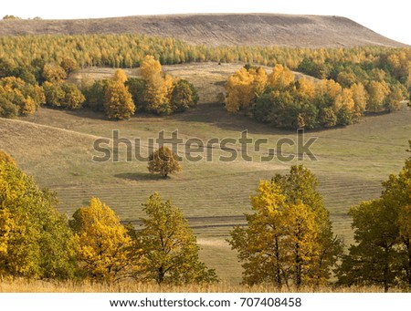 autumn birch oak maple hills sunrise. A landscape photo of hills in autumn. Colorful vegetation on the hills in autumn.