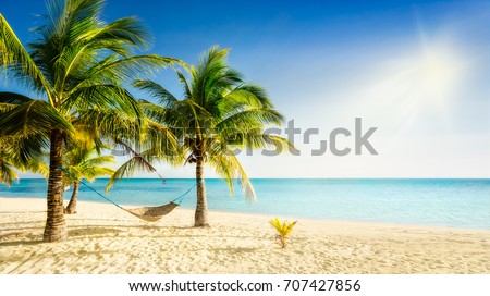 Sunny paradise beach with palm trees and traditional braided hammock Royalty-Free Stock Photo #707427856