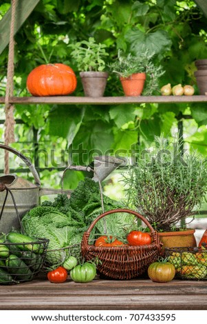 Summer harvest in the garden with vegetables and fruits