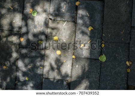 brick floor texture light focus and shadow for background