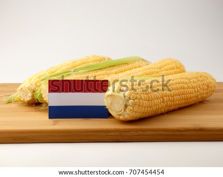 Dutch flag on a wooden panel with corn isolated on a white background