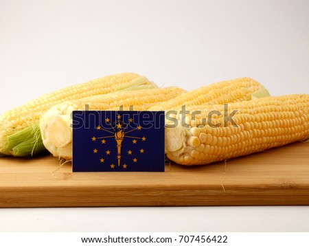 Indiana flag on a wooden panel with corn isolated on a white background