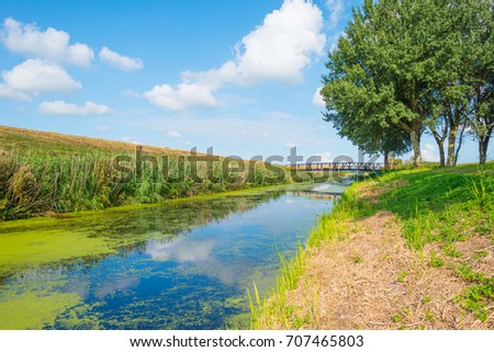 Shore of a canal through the countryside in summer