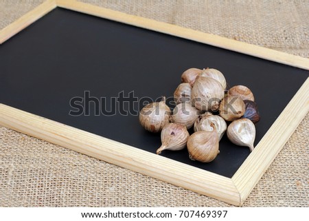 dry black garlic put on black board with wooden border on sack bag background