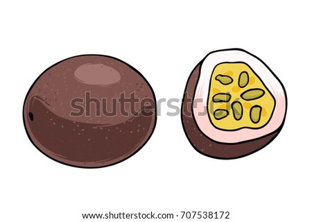 Vector illustration of juicy isolated outline colorful fruit - Passion fruit.
