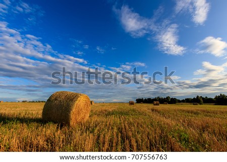 Haystacks on the field in Autumn season. Rural landscape with cloudy sky background. Golden harvest of wheat in eveneng.