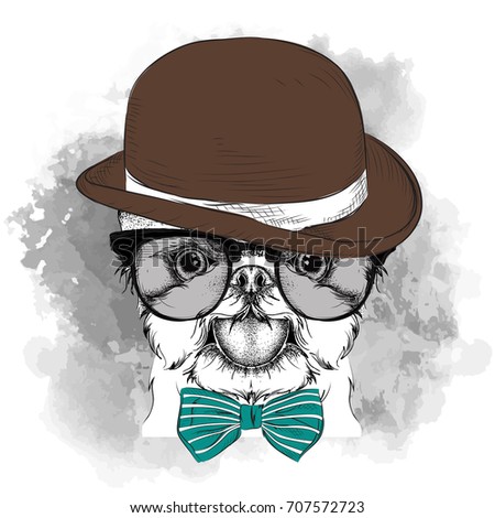 Image Portrait of dog in the hat, cravat and glasses. Yorkshire Terrier. Vector illustration.