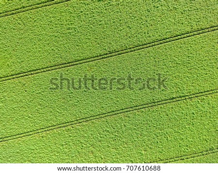 Aerial picture, green field, as a background and texture, abstract