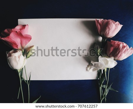Beautiful pink and white floral composition on both sides of a card, on a navy background, with free space to write on, top view