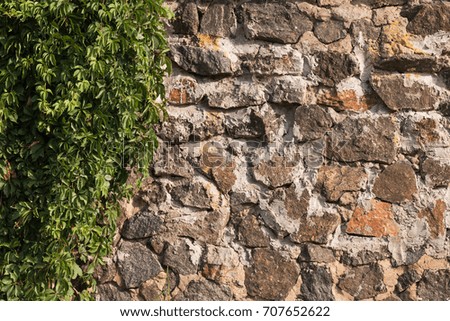 Old wall made of cobblestone and grapes lit by the morning sun. Texture and background