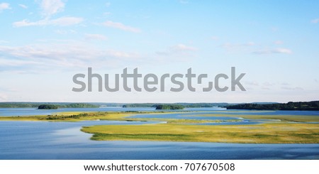 Sunny summer day on Kenozero lake. Colorful photo. Long green grass growing in the water. Natural background. Wide format photo. Kenozersky National Park (UNESCO Biosphere Reserve), Russia.