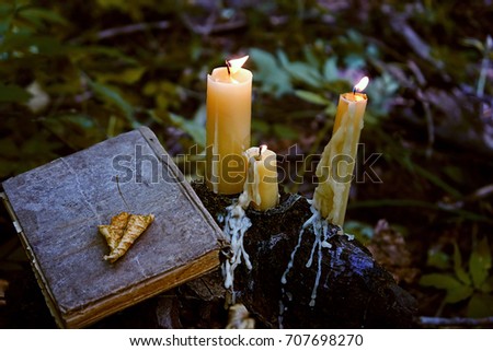 old book and burning candles in mysterious dark forest. wizard ritual, magical scene. Witchcraft, spiritual esoteric practice. autumn season