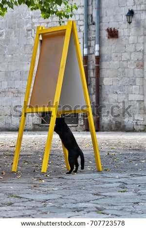 A black cat climbs onto a signboard