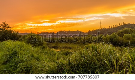 Golden sunset over a rural area with a bridge and traffic in the background and tall grass in the foreground.