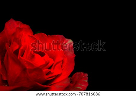 Close up of red roses on black background for text.