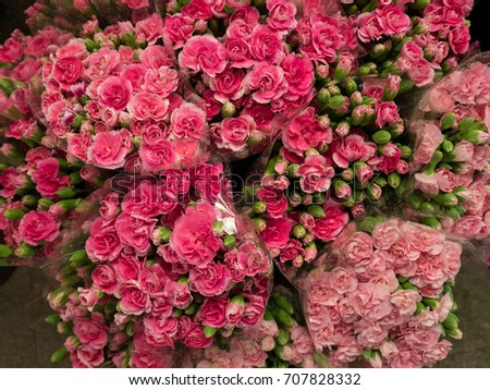 pink flowers in fresh market
