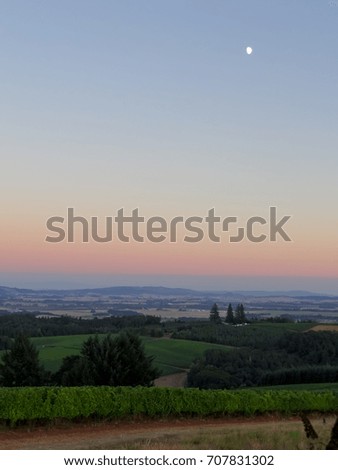 An evening view of an Oregon vineyard, soft sunset colors and a moon shines overhead.