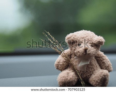 Teddy bear in the rainy season with a lonely atmosphere.Soft focus on teddy bear and blur background.Concept photo miss someone.In the picture there is space to write the text.