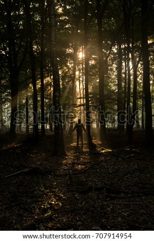 a man standing in the forest towards the sun