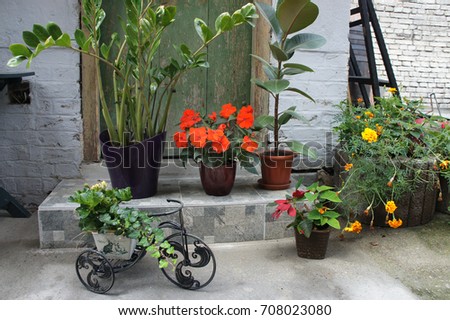 Beautiful terrace with a lot flowers and bicycle, detail                       