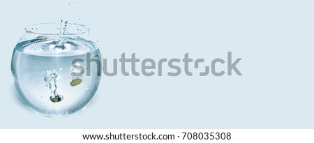 Euro coins in aquarium with water. Isolated on white background. Royalty-Free Stock Photo #708035308