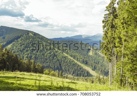 Photo shows the landscape of Ukrainian Carpathian Mountains. Green trees cover the mountains. Especially a lot of coniferous trees. Nature, mountains, greens