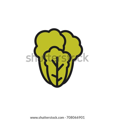 Lettuce. Vector icon
