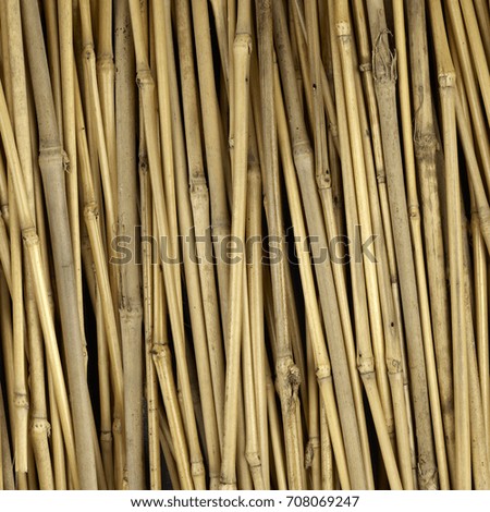 bamboo fence background and bamboo texture.High-resolution seamless texture