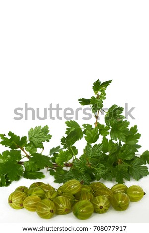 Gooseberries and twig with green leaves on a white background - mock up