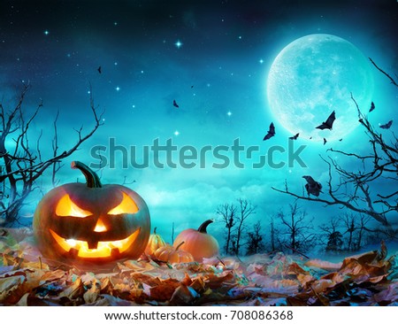 Pumpkin Glowing At Moonlight In The Spooky Forest - Halloween Scene