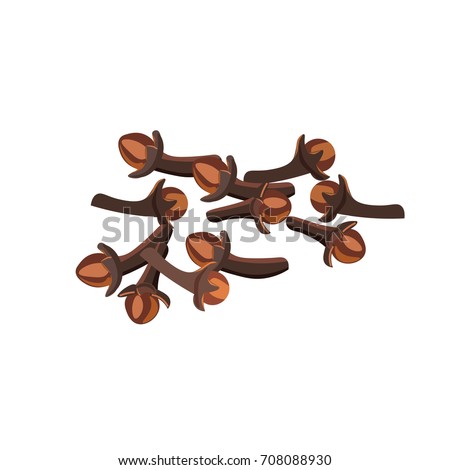 Spice cloves on white background. Vector illustration Royalty-Free Stock Photo #708088930