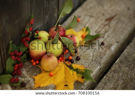 Autumn still life/background