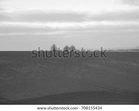 Countryside scene - trees on the horizon - black and white